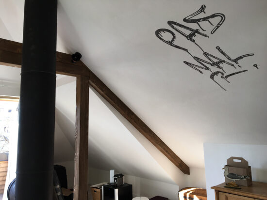 PAS MAL IN SITU